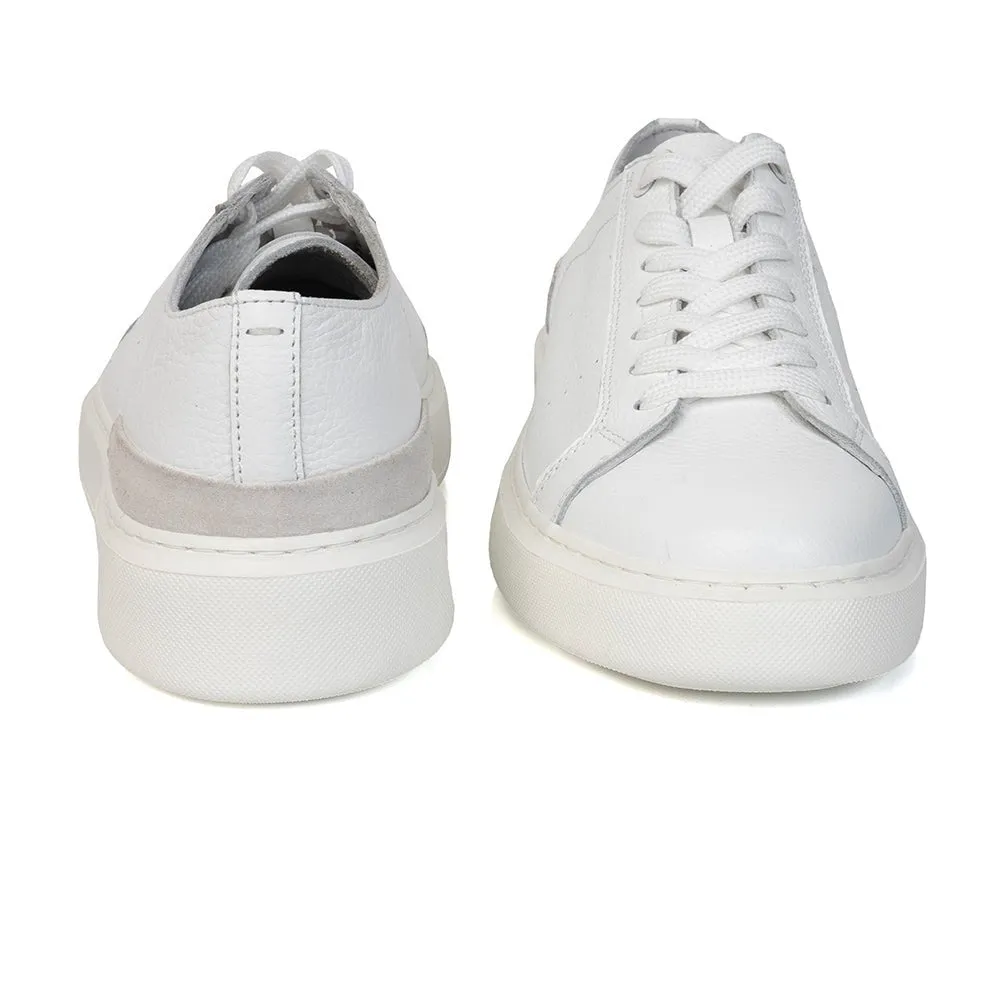 Low Top Sneakers