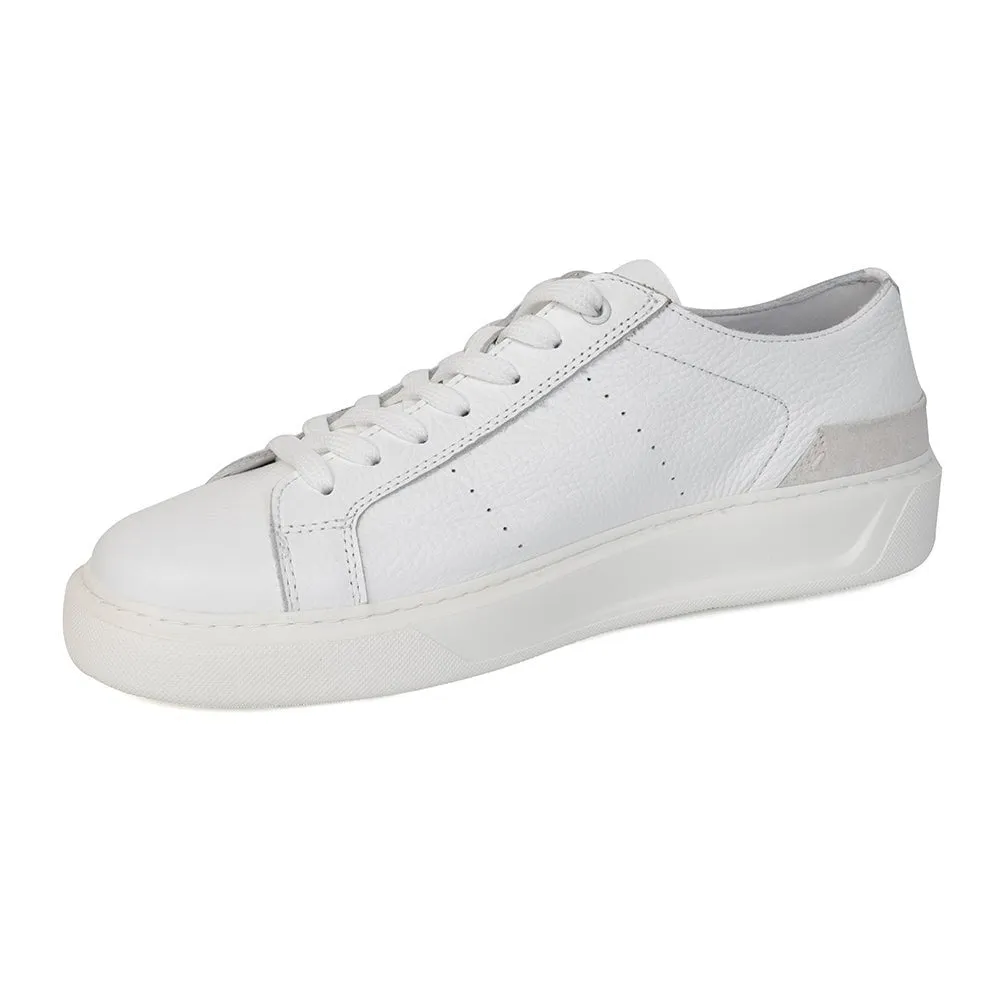 Low Top Sneakers