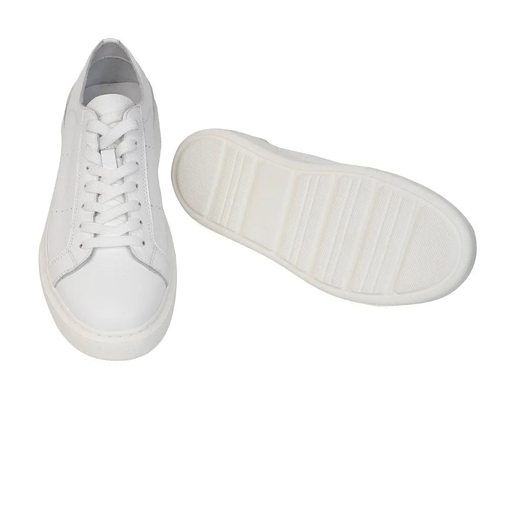 Low Top Sneakers