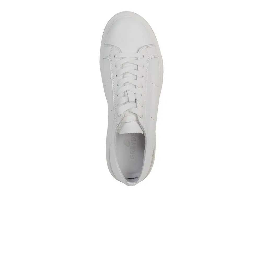 Low Top Sneakers