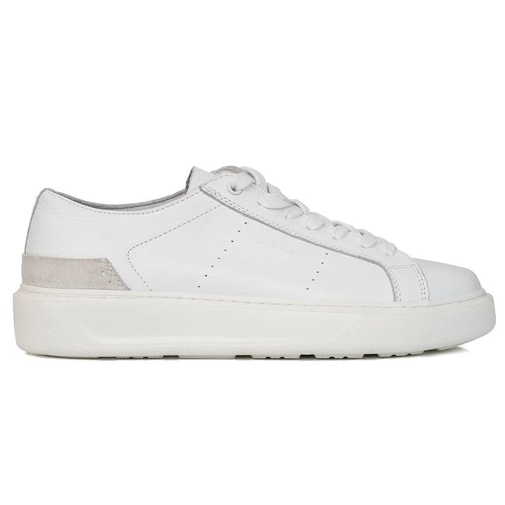 Low Top Sneakers