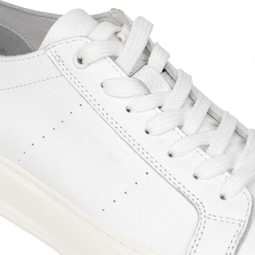 Low Top Sneakers